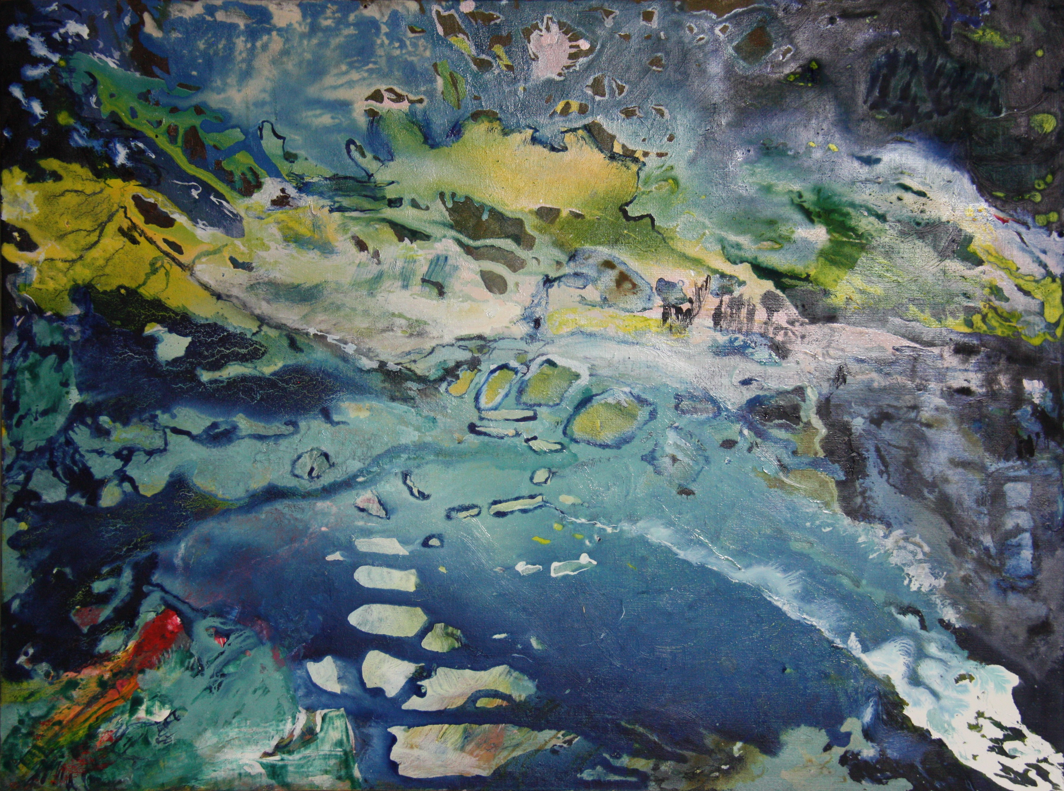 The bird is in the water